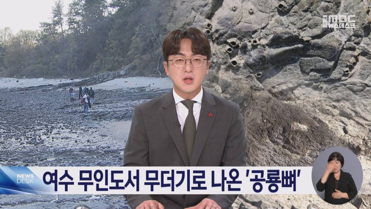 여수 무인도에서 공룡뼈가 무더기로 발견됨.jpg | 인스티즈