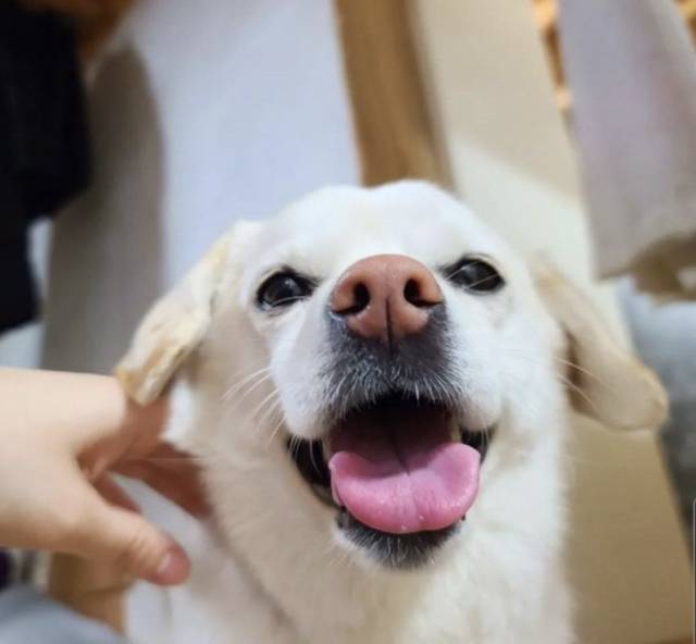된장찌개로 건물 올렸다는 서울 양평동 식당 | 인스티즈