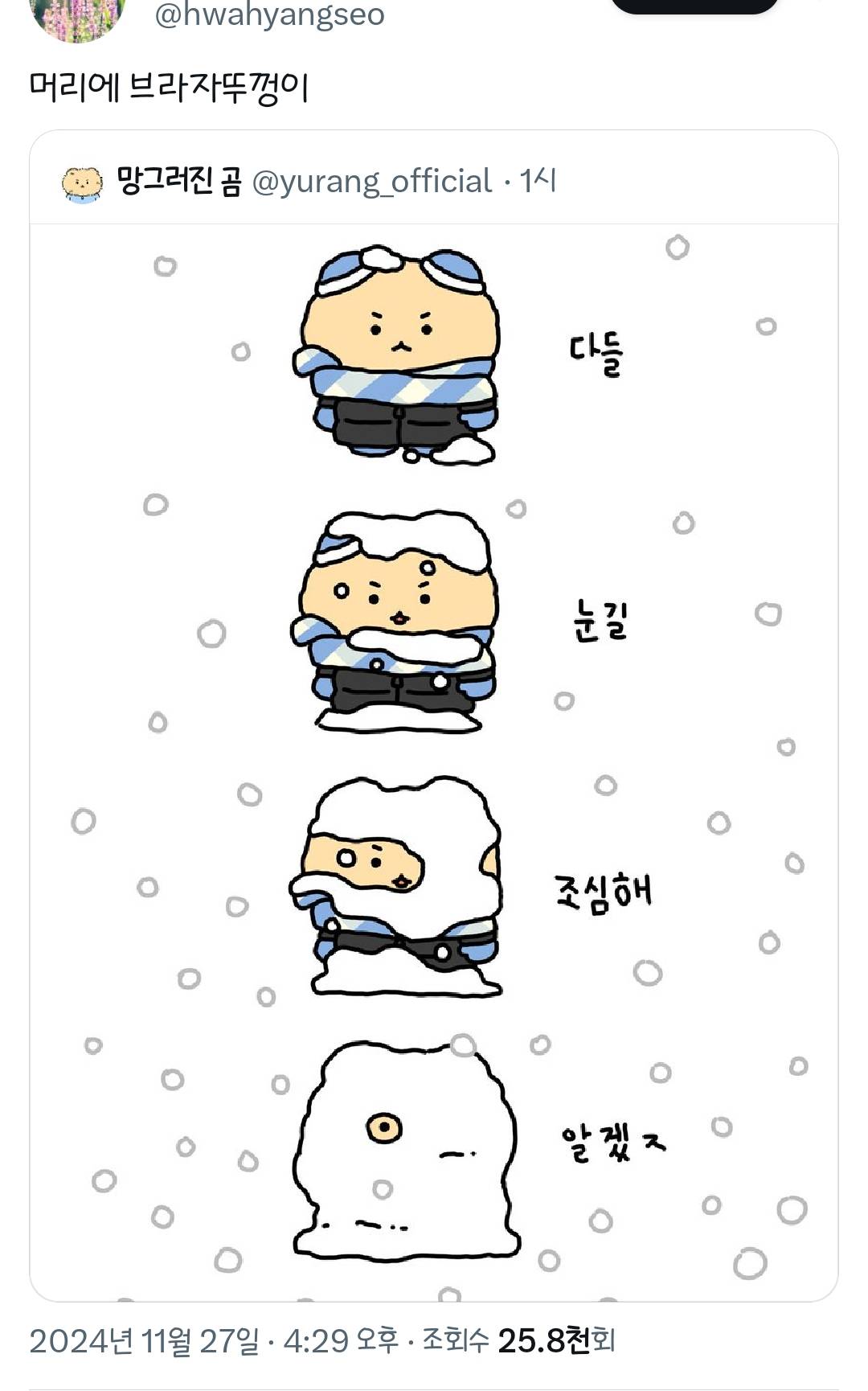 망곰이 귀에 부라자 뚜껑이 | 인스티즈