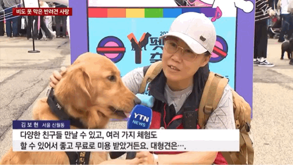 어휴... YTN 뉴스.. 결국 먹혔네... | 인스티즈