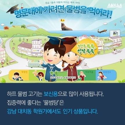 하프물범이 한국을 싫어하는 이유 | 인스티즈