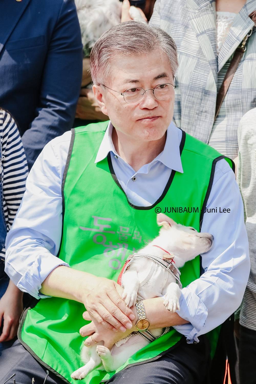 문프 손에서 녹아가는 강아지 | 인스티즈