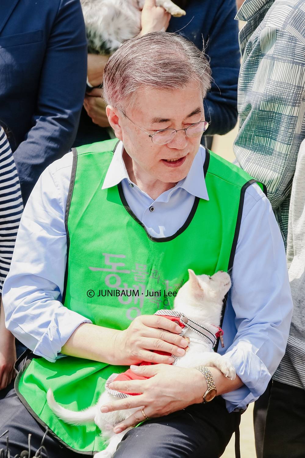 문프 손에서 녹아가는 강아지 | 인스티즈