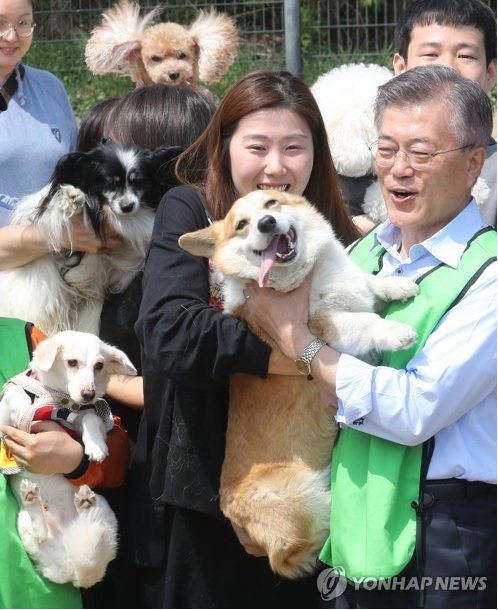 문프 손에서 녹아가는 강아지 | 인스티즈