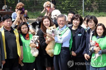 문프 손에서 녹아가는 강아지 | 인스티즈