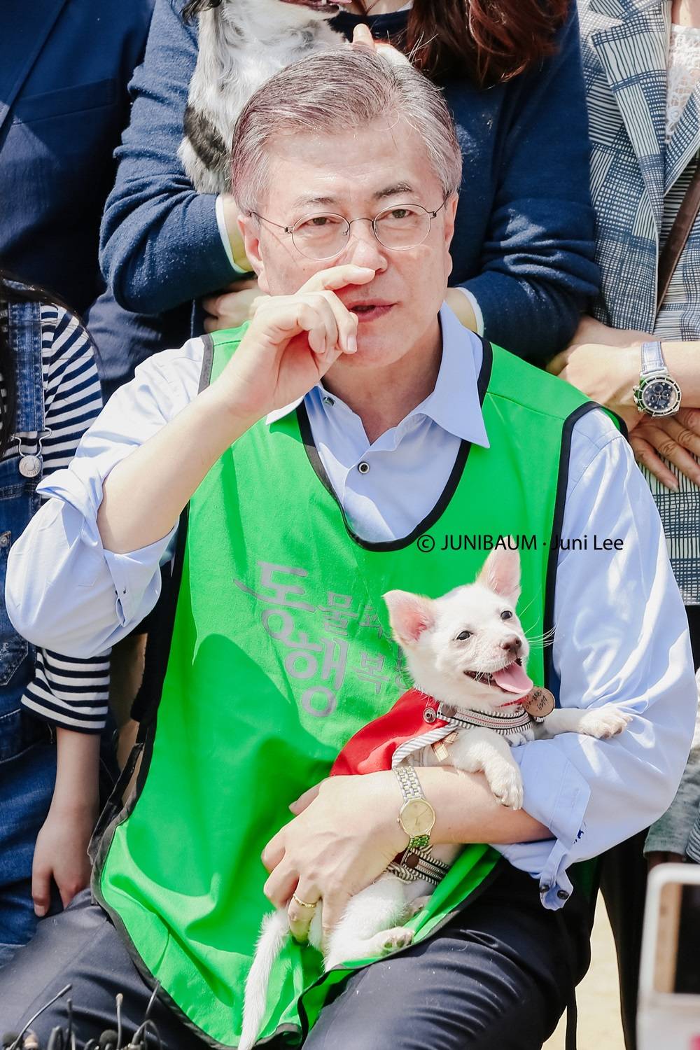 문프 손에서 녹아가는 강아지 | 인스티즈