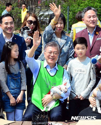 문프 손에서 녹아가는 강아지 | 인스티즈