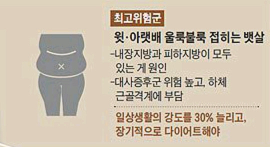 뱃살 중에 가장 위험한 뱃살 | 인스티즈