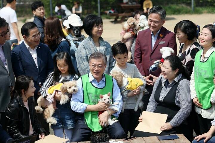 문프 손에서 녹아가는 강아지 | 인스티즈