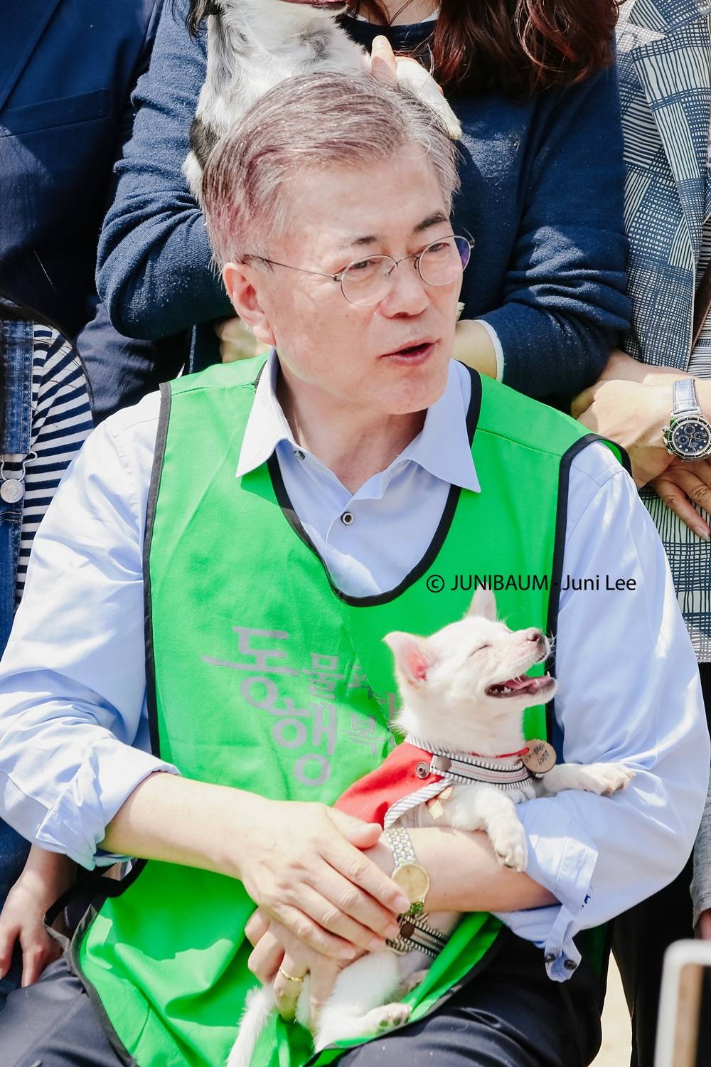 문프 손에서 녹아가는 강아지 | 인스티즈