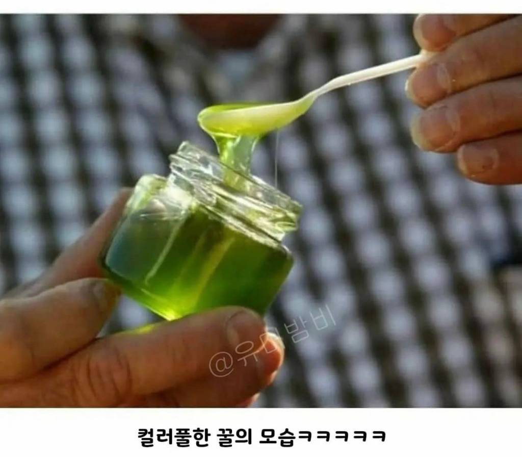 초콜릿 공장에서 뭔가를 먹고온 꿀벌들.jpg | 인스티즈