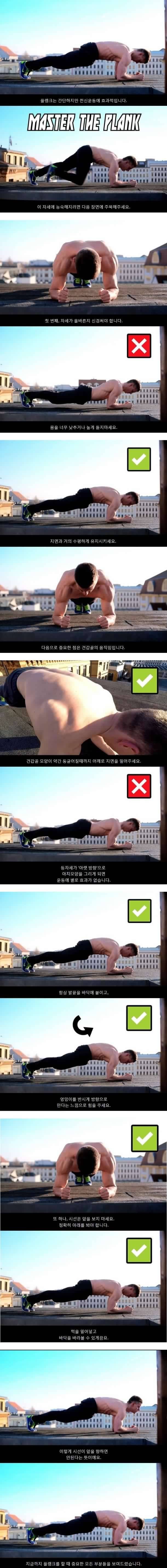 플랭크자세 똑바로 하는 Tip | 인스티즈