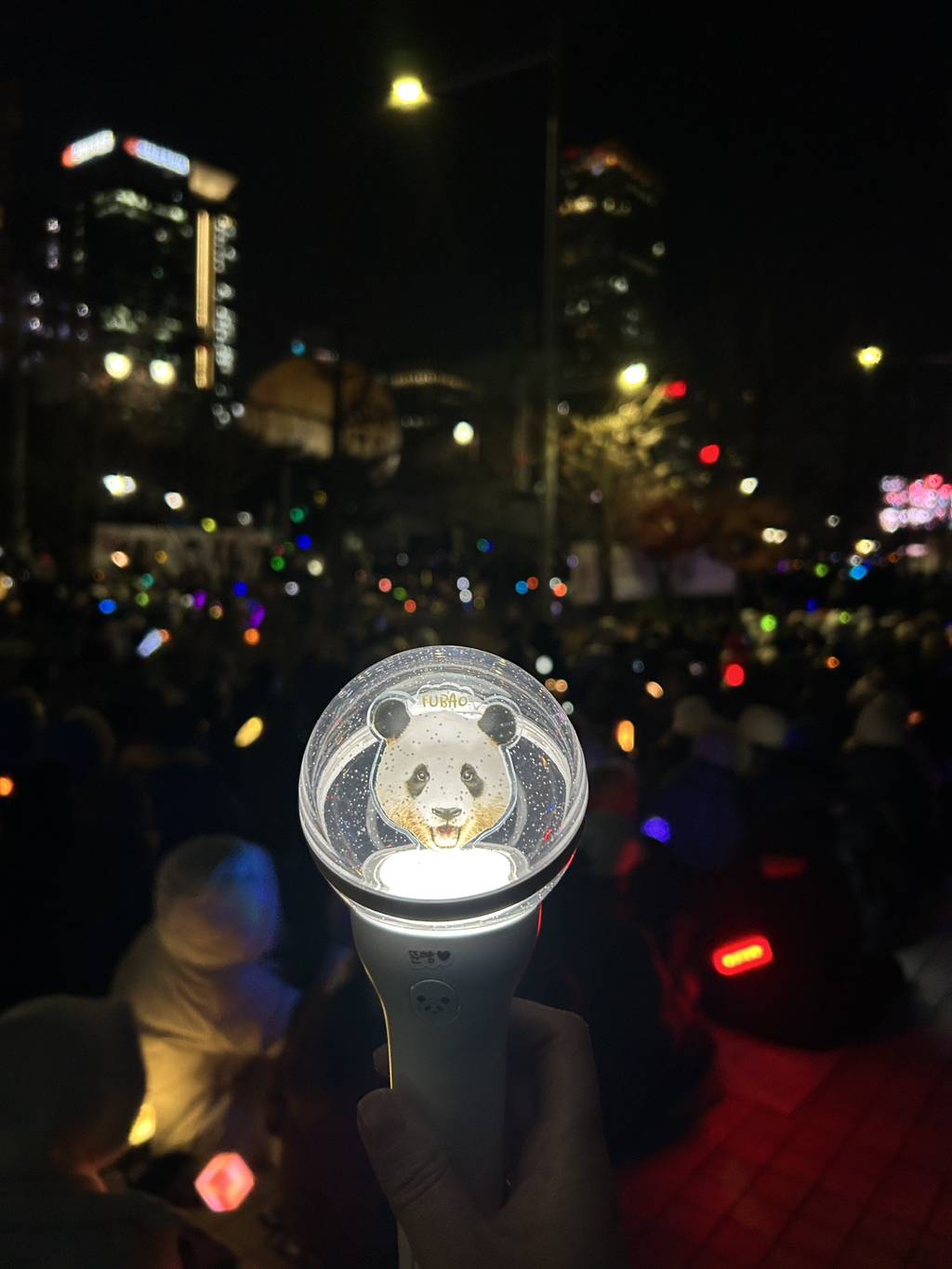 시위에서 푸바오 팬들의 깃발+응원봉 🐼 | 인스티즈