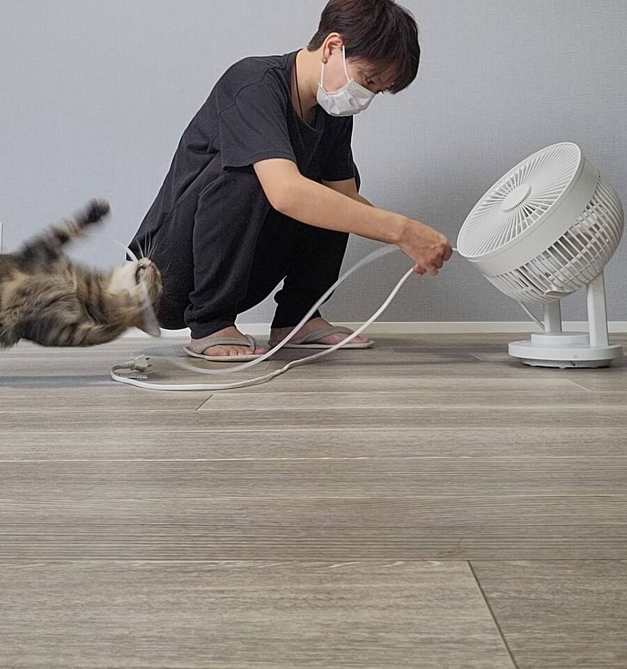 고양이가 전원 케이블 자꾸 물어대서 보호커버 씌우는 중.jpg | 인스티즈