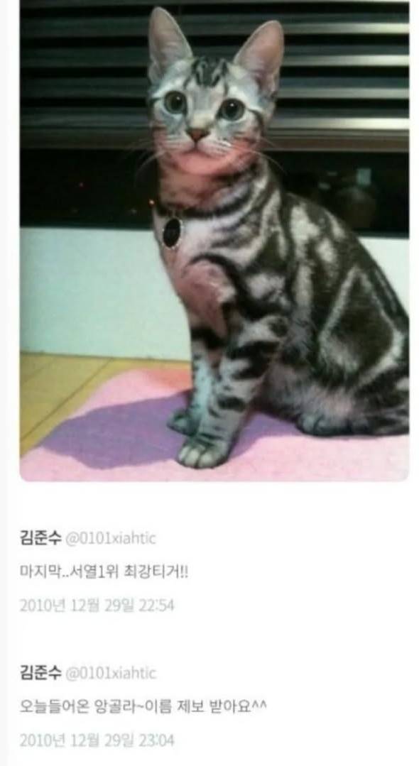 시아준수가 키우던 반려동물의 행방 | 인스티즈