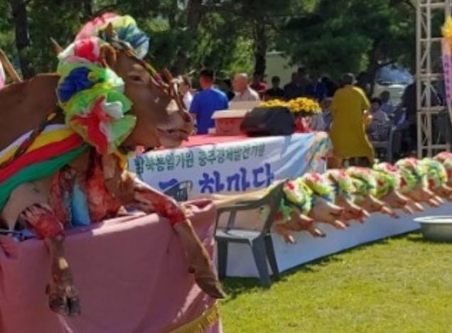 건진법사와 살아있는 소의 가죽을 벗기는 굿 | 인스티즈