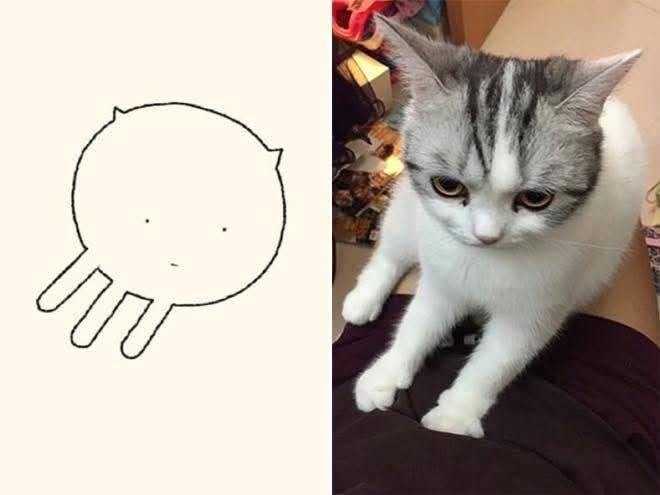 대충 그린 고양이 그림 🐱 | 인스티즈