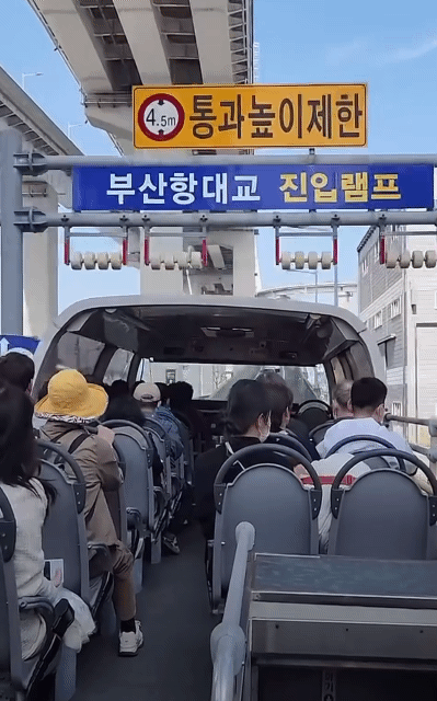 2층 버스로 지나가 보는 부산항 대교 | 인스티즈