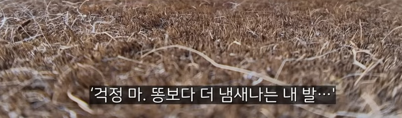 미국인들이 집에서 신발신고 사는 이유 | 인스티즈