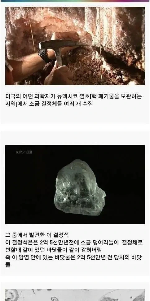 암염 안에 갇혀있는 2억 5천만 년 전의 바닷물 | 인스티즈