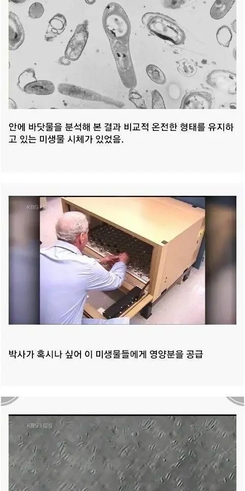 암염 안에 갇혀있는 2억 5천만 년 전의 바닷물 | 인스티즈