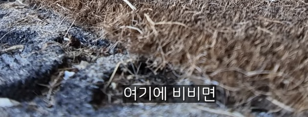 미국인들이 집에서 신발신고 사는 이유 | 인스티즈