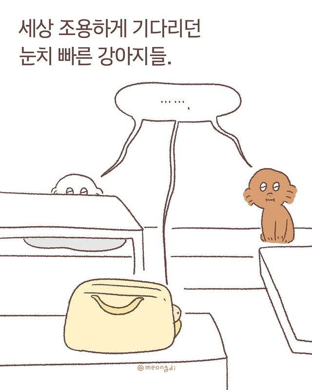 눈치보는 갱얼쥐들 | 인스티즈