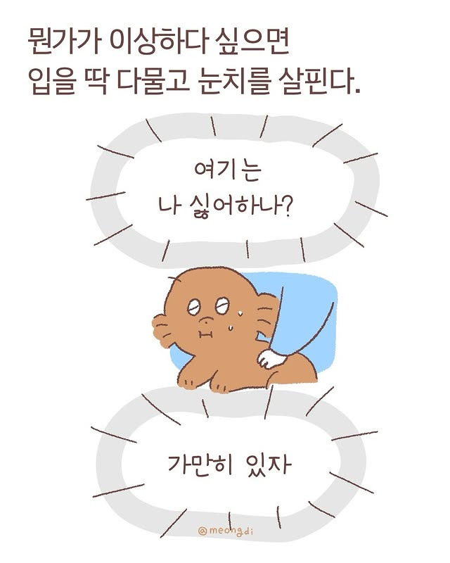 눈치보는 갱얼쥐들 | 인스티즈