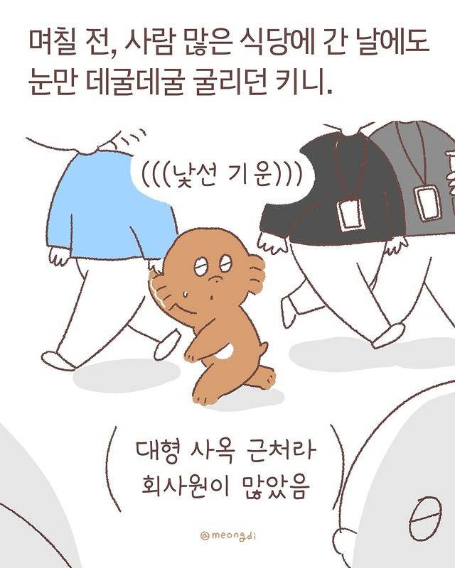 눈치보는 갱얼쥐들 | 인스티즈