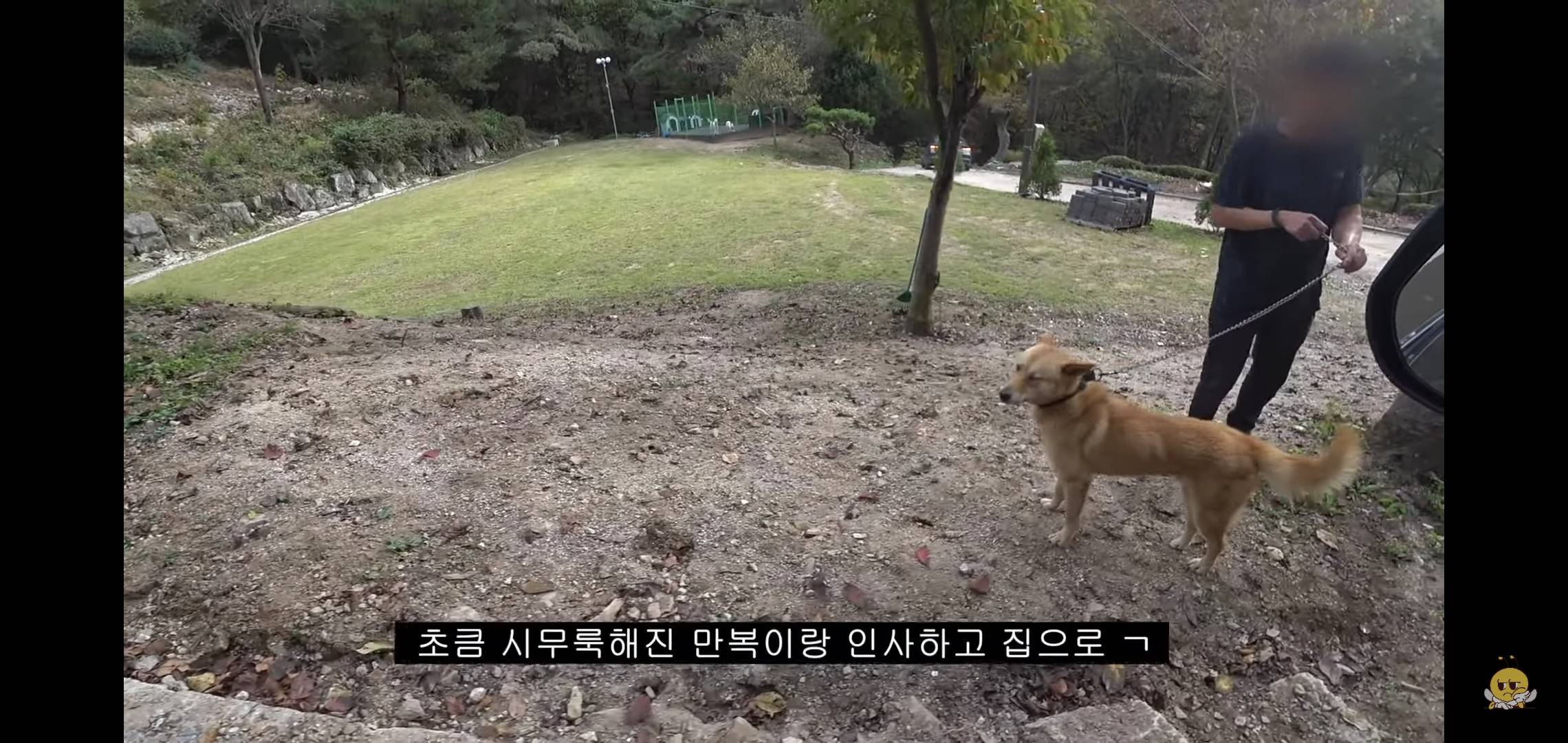 갑자기 유튜버 집에 들어온 떠돌이개가 알고보니 부잣집 도련님이었음.jpg | 인스티즈