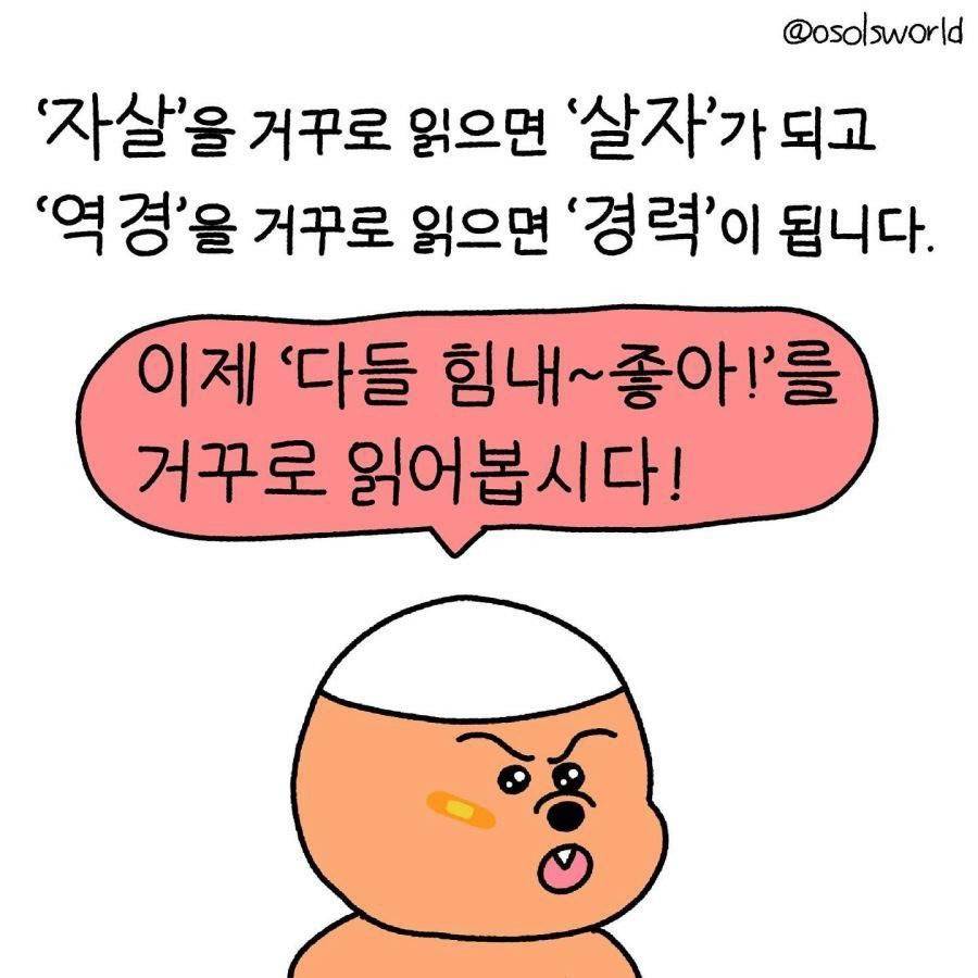 자살'을 거꾸로 읽으면 '살자'가 됩니다.jpg | 인스티즈