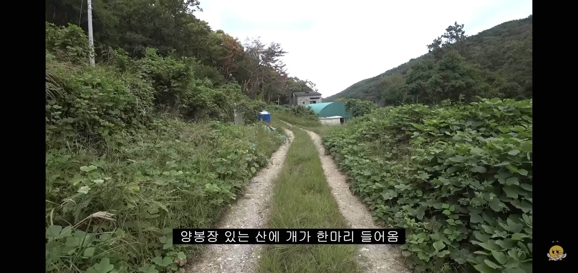 갑자기 유튜버 집에 들어온 떠돌이개가 알고보니 부잣집 도련님이었음.jpg | 인스티즈