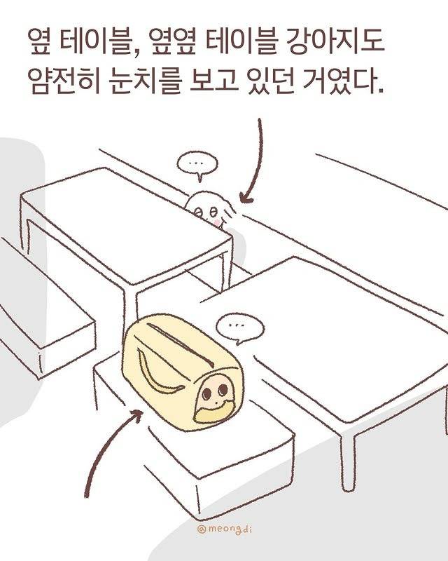 눈치보는 갱얼쥐들 | 인스티즈