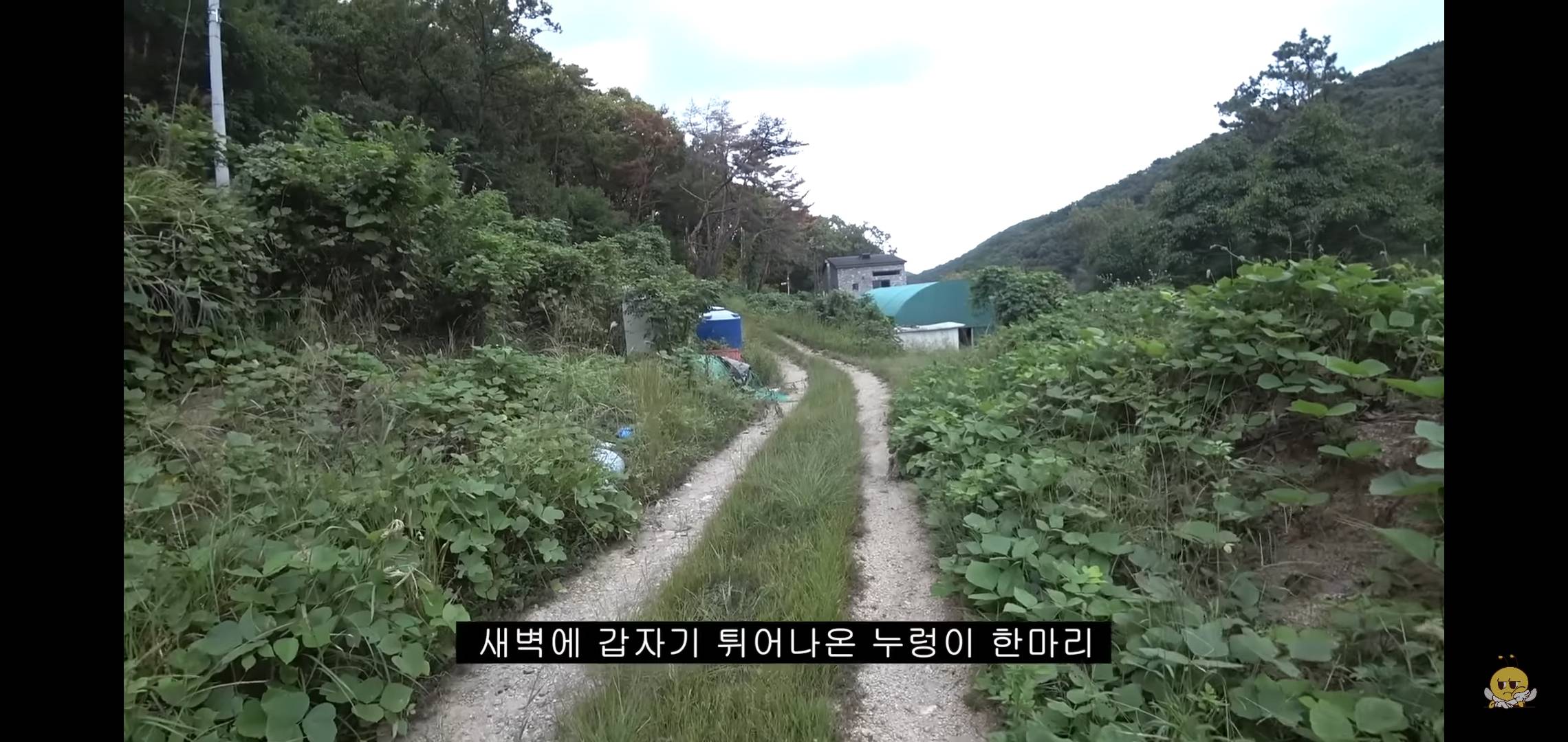 갑자기 유튜버 집에 들어온 떠돌이개가 알고보니 부잣집 도련님이었음.jpg | 인스티즈