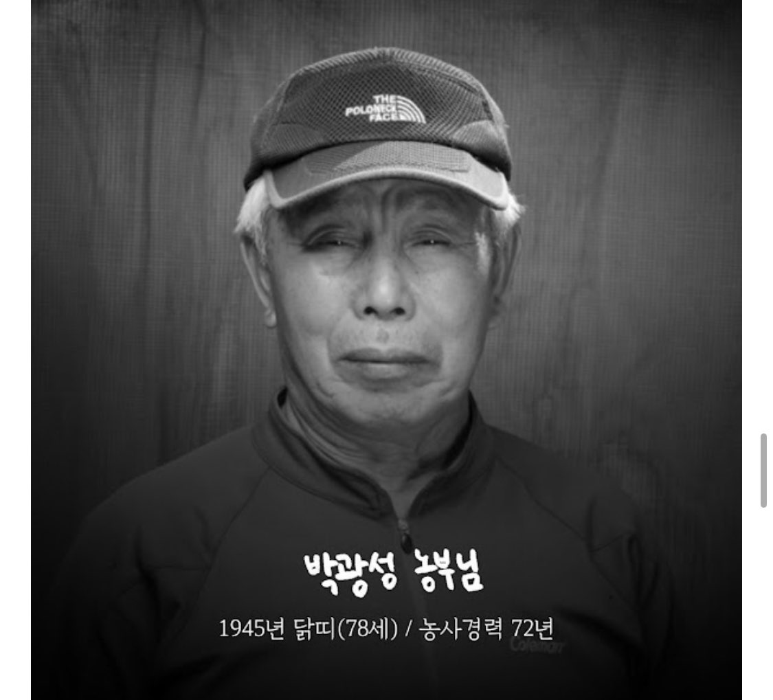 농사경력 80년.jpg | 인스티즈