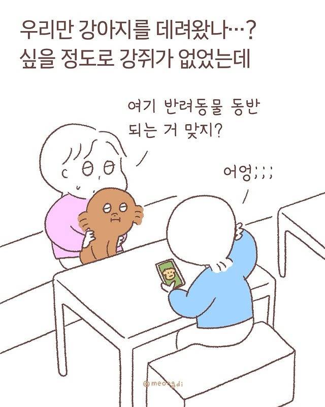눈치보는 갱얼쥐들 | 인스티즈