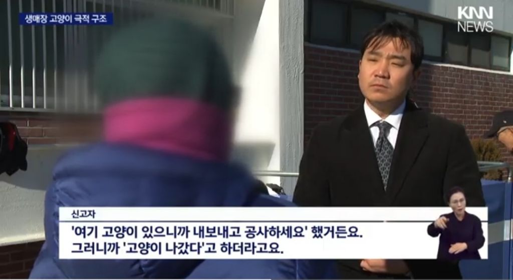 부산 구덕운동장 시설관리공단에서 새끼 고양이 3마리 생매장하고 공사 진행함(구조중) | 인스티즈