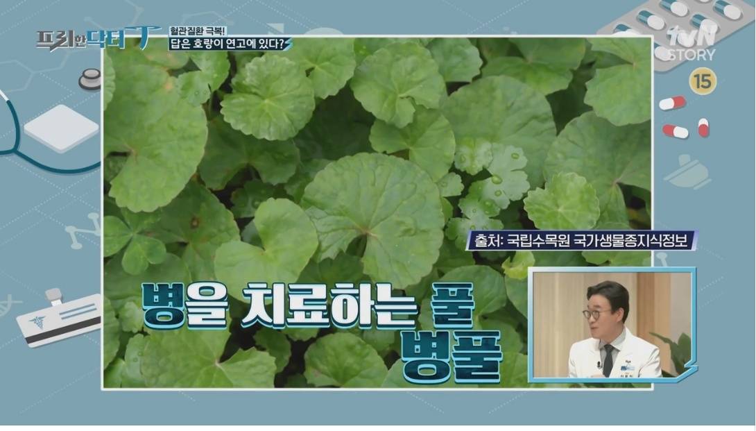 '호랑이 연고'가 호랑이 연고인 이유 | 인스티즈