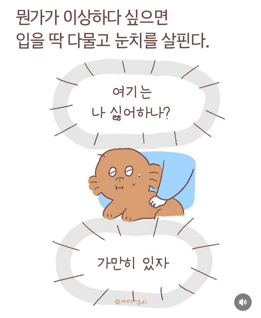 강아지들은 눈치가 빠르다 | 인스티즈