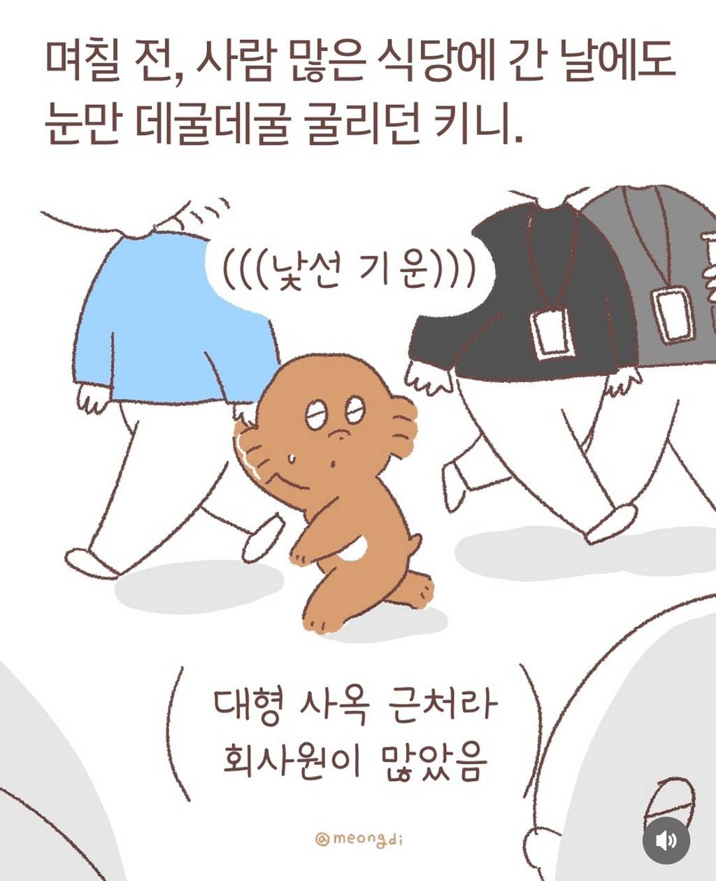 강아지들은 눈치가 빠르다 | 인스티즈