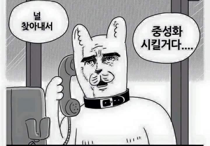 여시들이 생각하는 최고의 복수란?? | 인스티즈