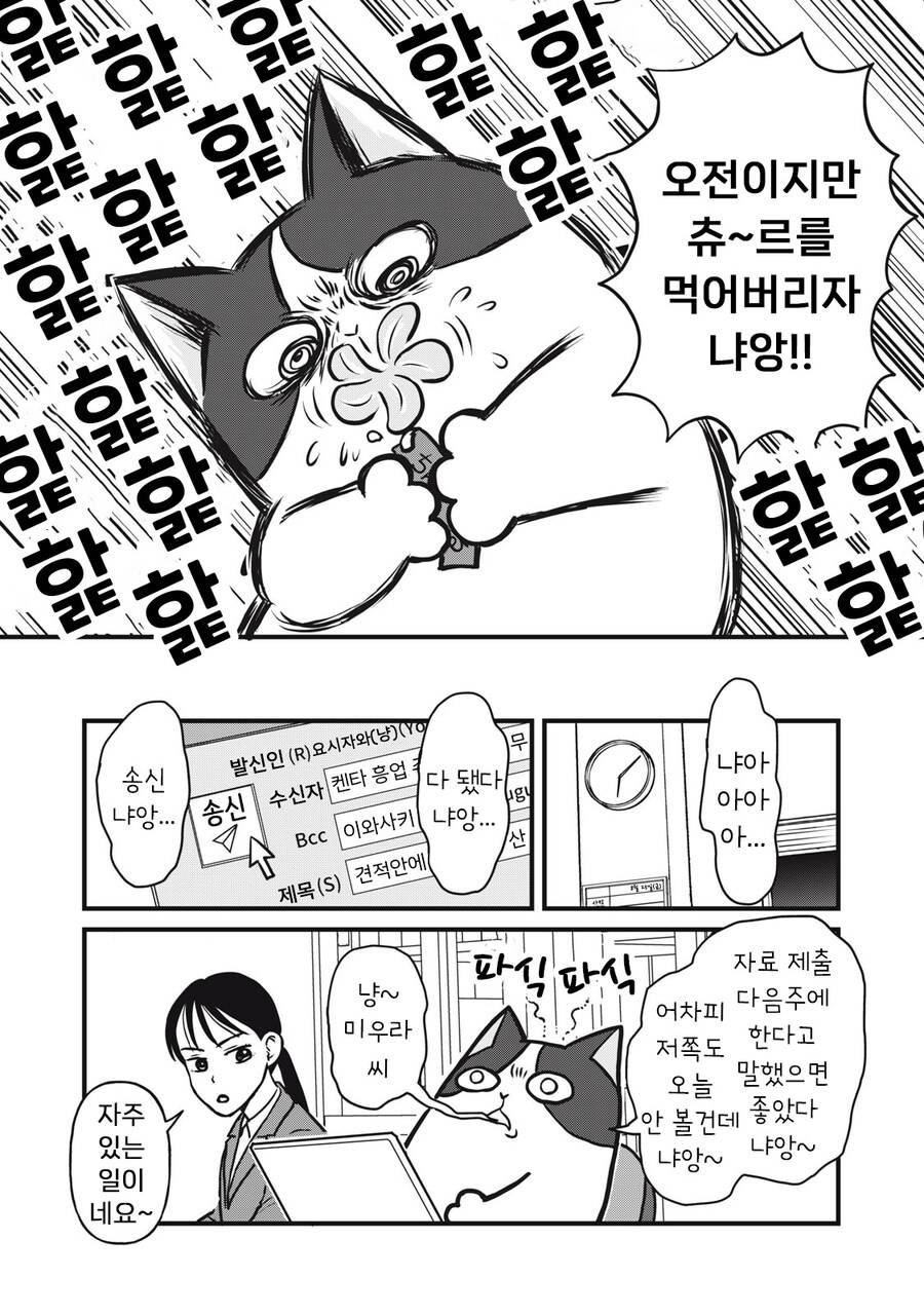 좋아하는 인간 부탁에 힘낸 길냥이 | 인스티즈