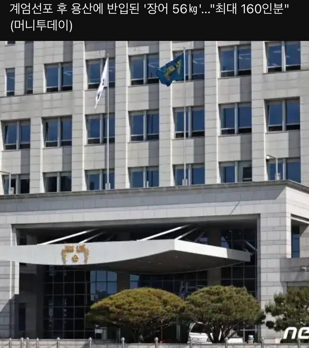 계엄 선포 후 용산에 장어 56kg 들어간 이유 | 인스티즈