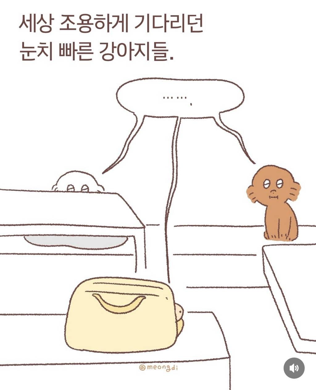 강아지들은 생각보다 진짜 눈치가 빠르다 | 인스티즈