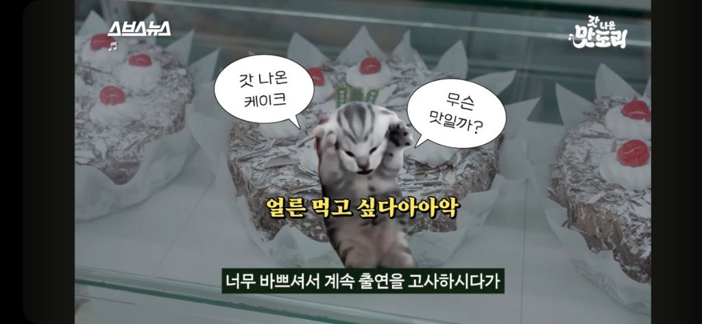 가성비 케이크 팔아서 건물주 된 청주 우리마트 초코케이크집에 가본 스브스뉴스 | 인스티즈