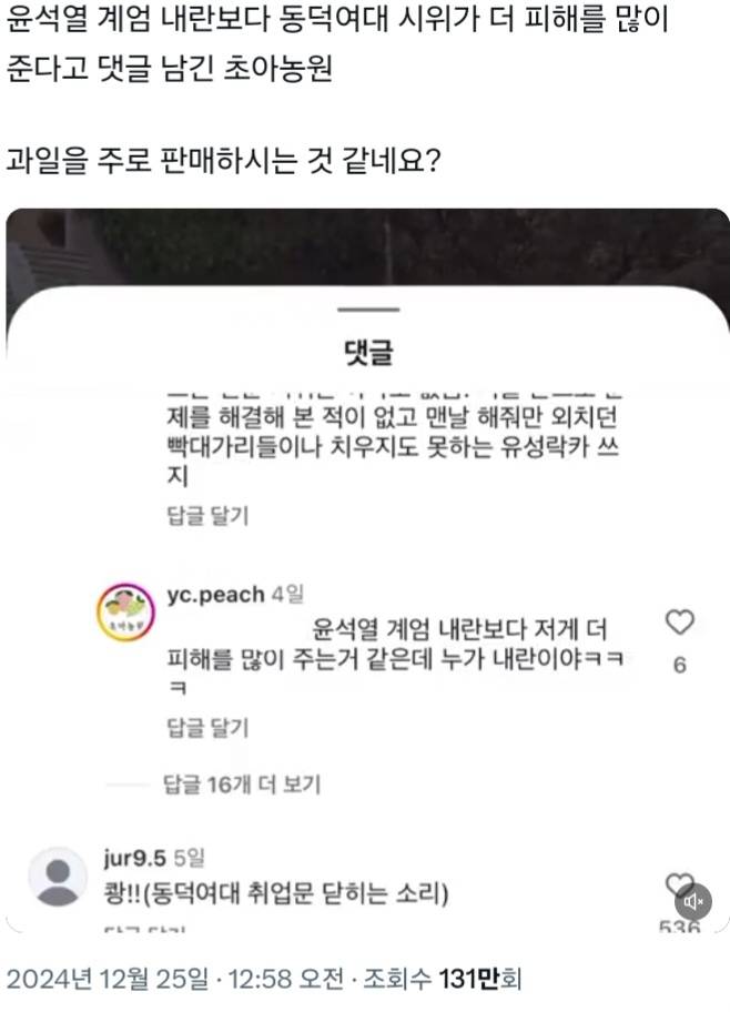 윤석열 계엄 내란보다 동덕여대 시위가 더 피해를 많이 준다고 댓글 남긴 초아농원 | 인스티즈