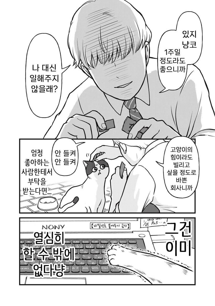 좋아하는 인간 부탁에 힘낸 길냥이 | 인스티즈