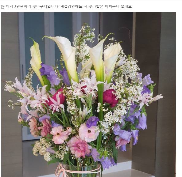 [네이트판] 10만원짜리 꽃다발 어떤가요 | 인스티즈