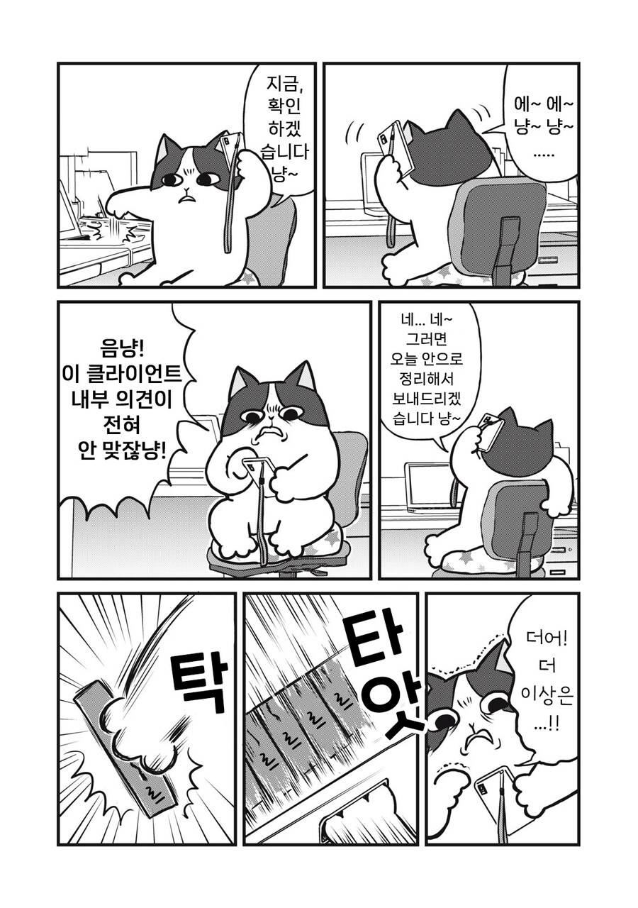 좋아하는 인간 부탁에 힘낸 길냥이 | 인스티즈