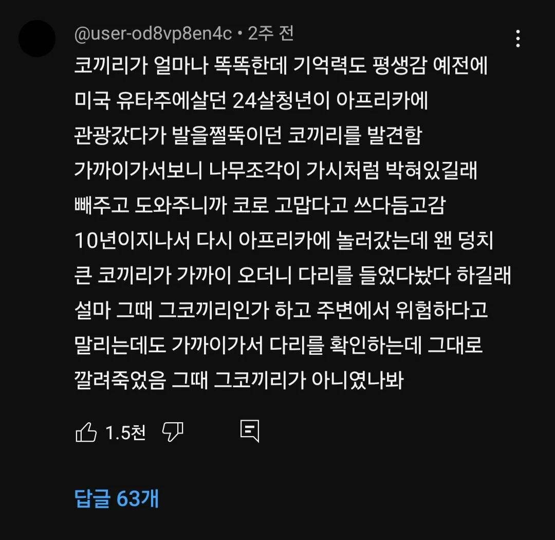 코끼리의 놀라운 지능 수준 | 인스티즈